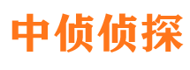 桐城市侦探